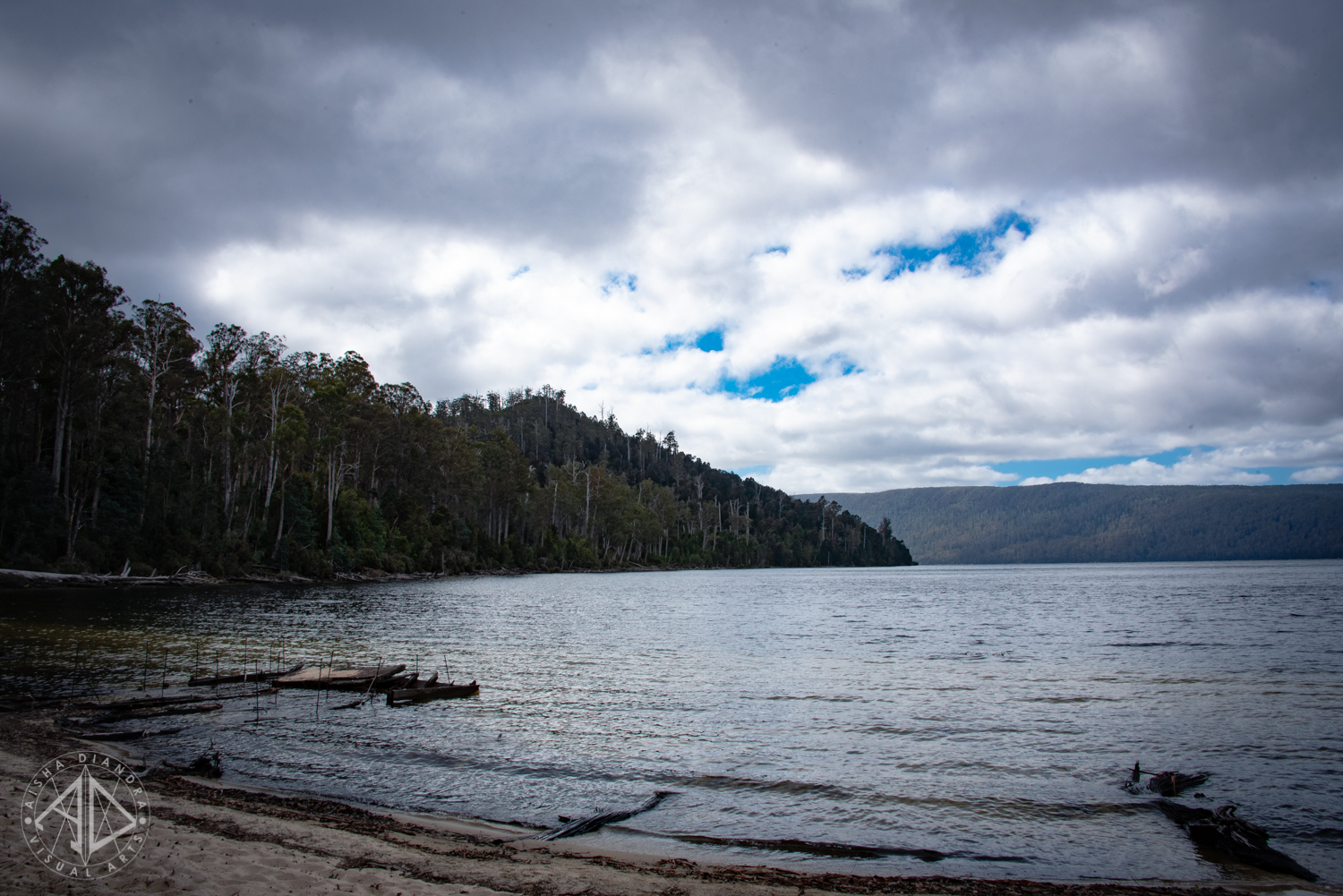 _DSC3800.jpg