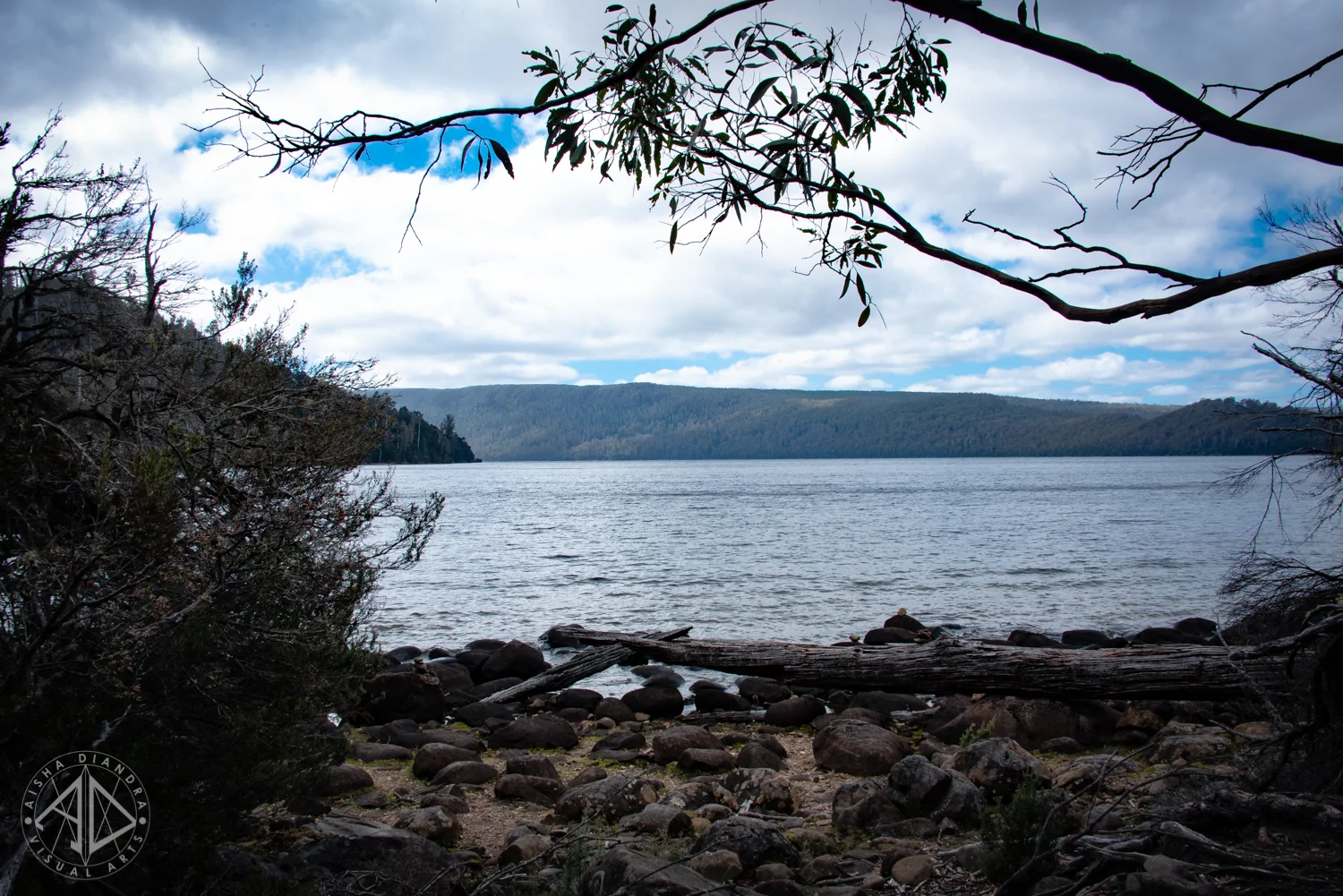 _DSC3798.jpg