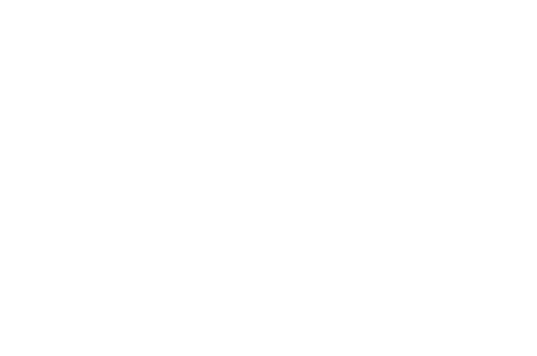 OFFICIAL SELECTION - Indie Short Fest - 2025.png