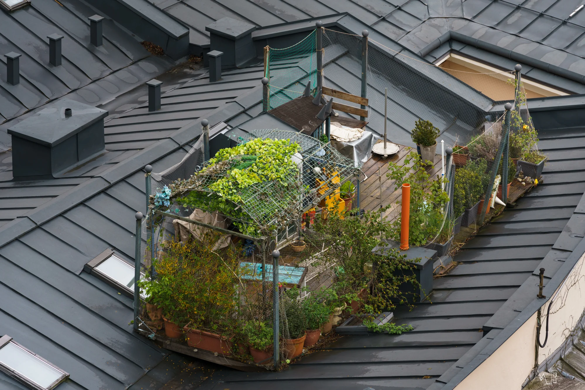CityEscape-2019-5810.jpg