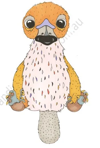 Platypus wm.JPG