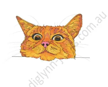 cute cat.JPG
