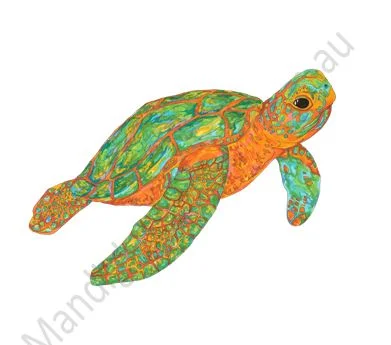 Australian Sea Turtle