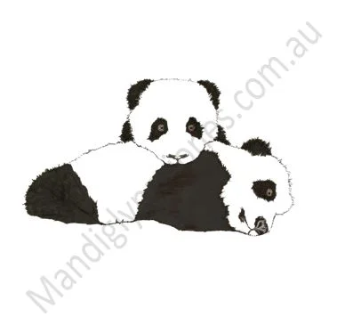 Pandas