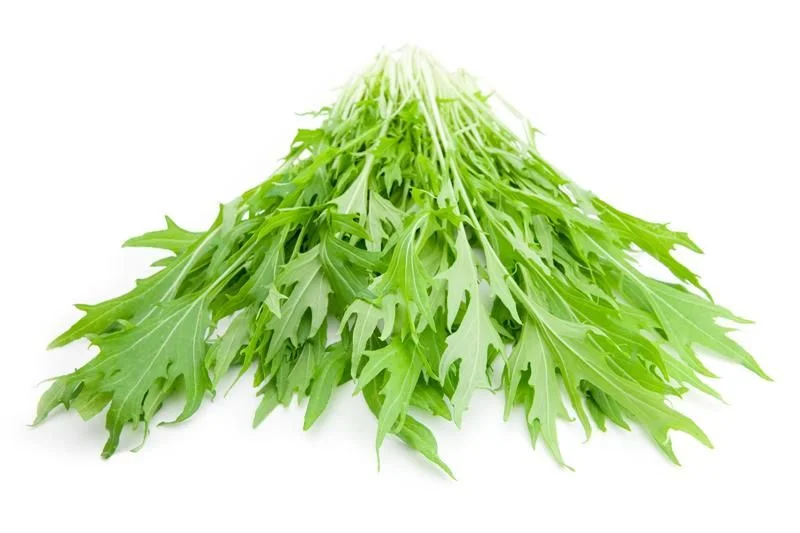 Mizuna Japanese Mustard