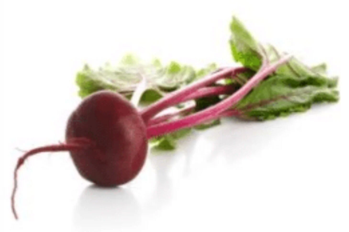 Beets, Red BB (Hybrid)