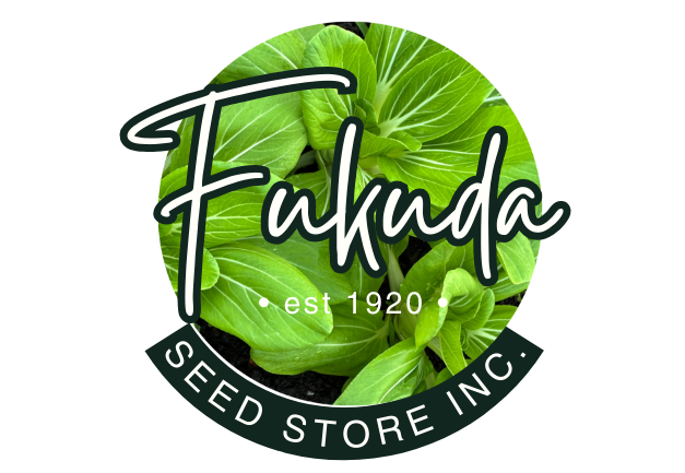 GUAPI種子 GUAPI -VINTAGE FLOWERS DENIM- | Highflyer