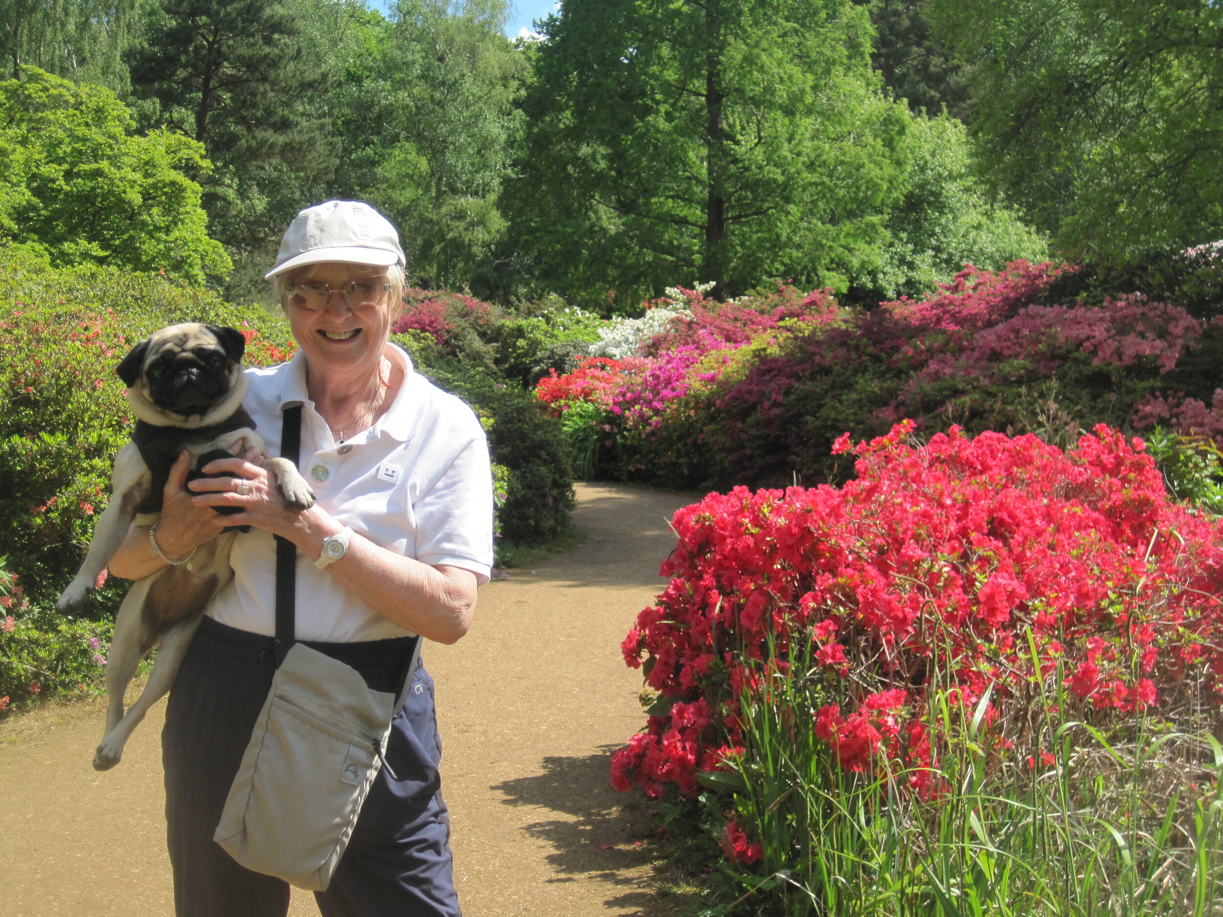 Helen and Thimble