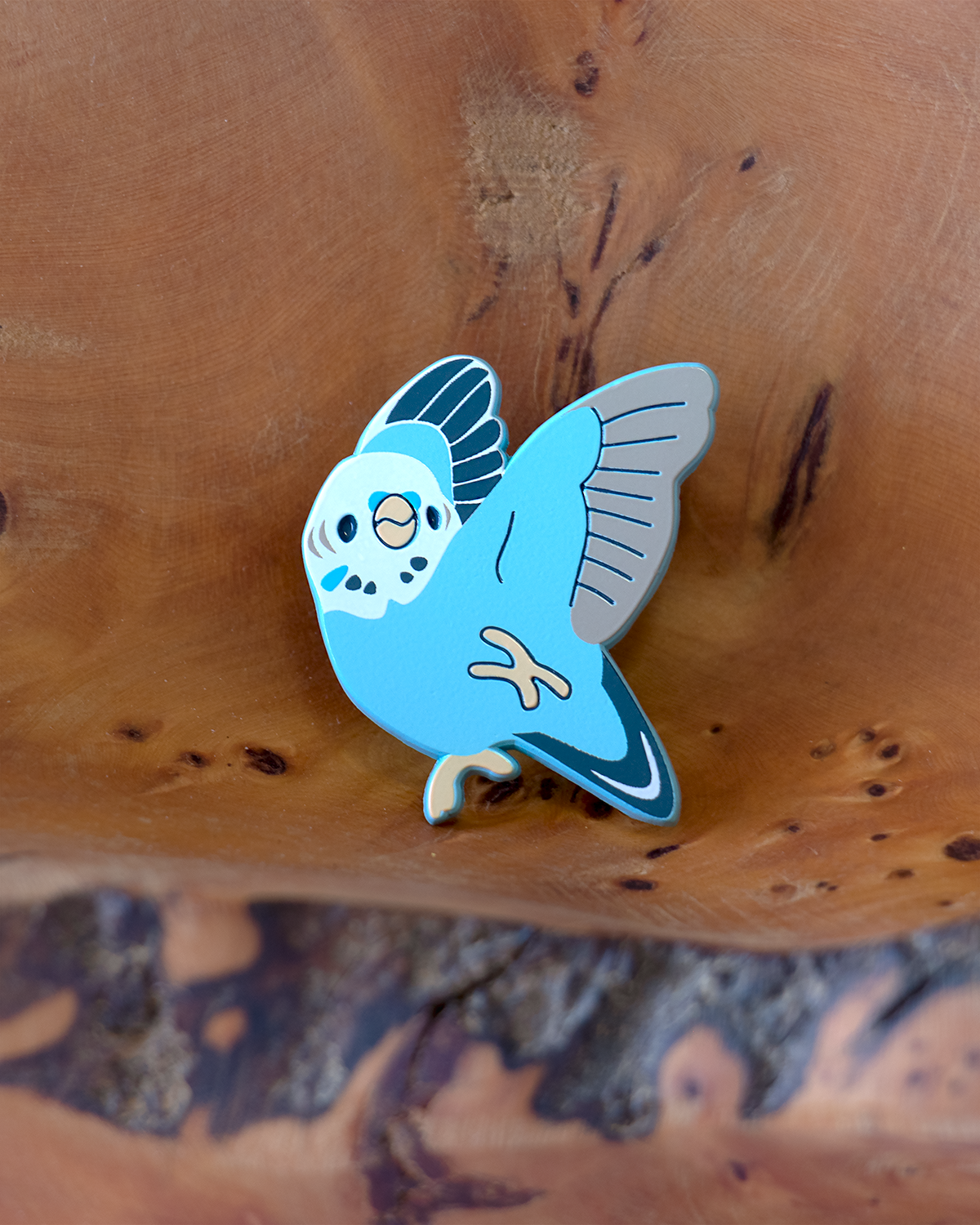 Budgie_B_1.png