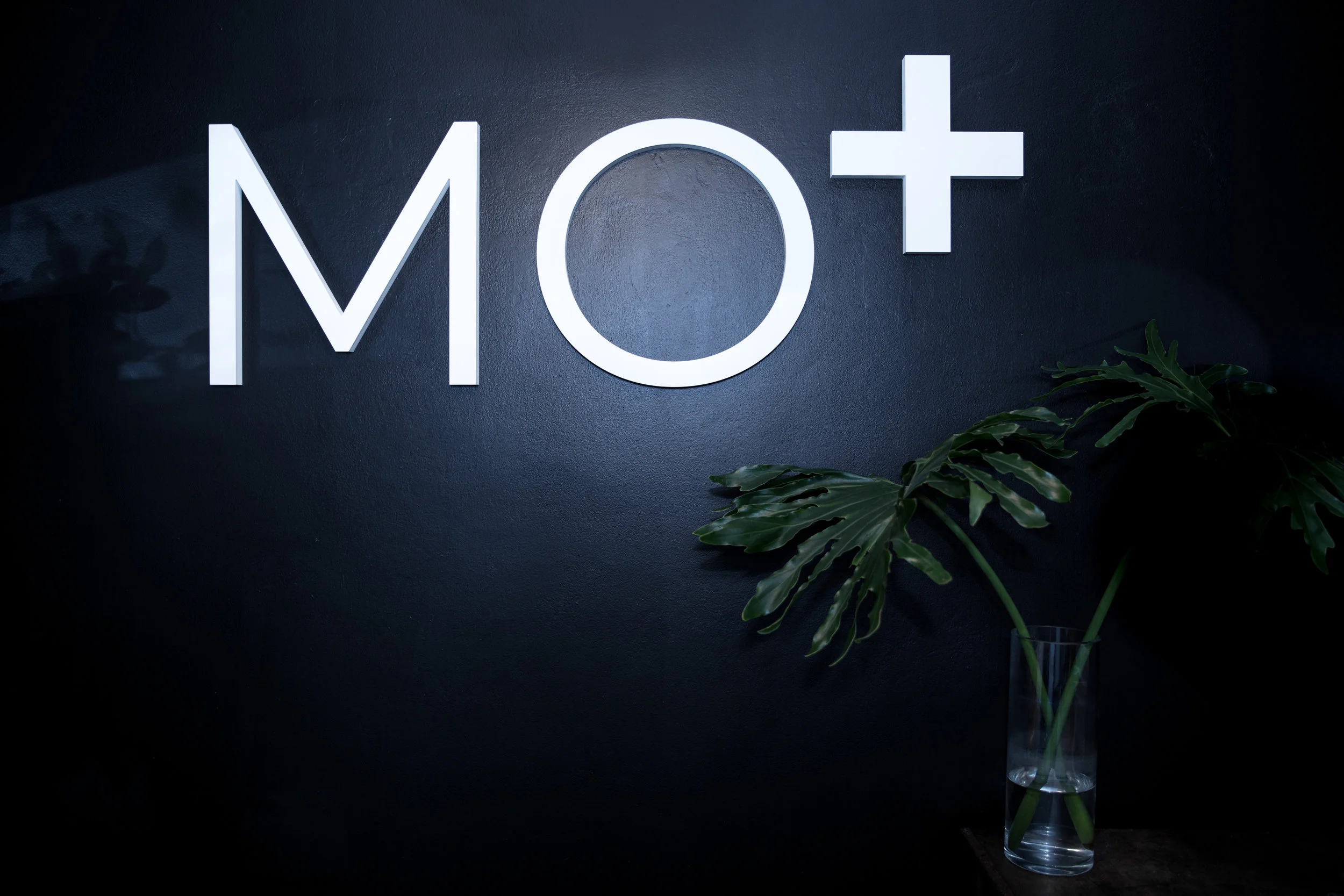 MO+ sign logo reception.jpg