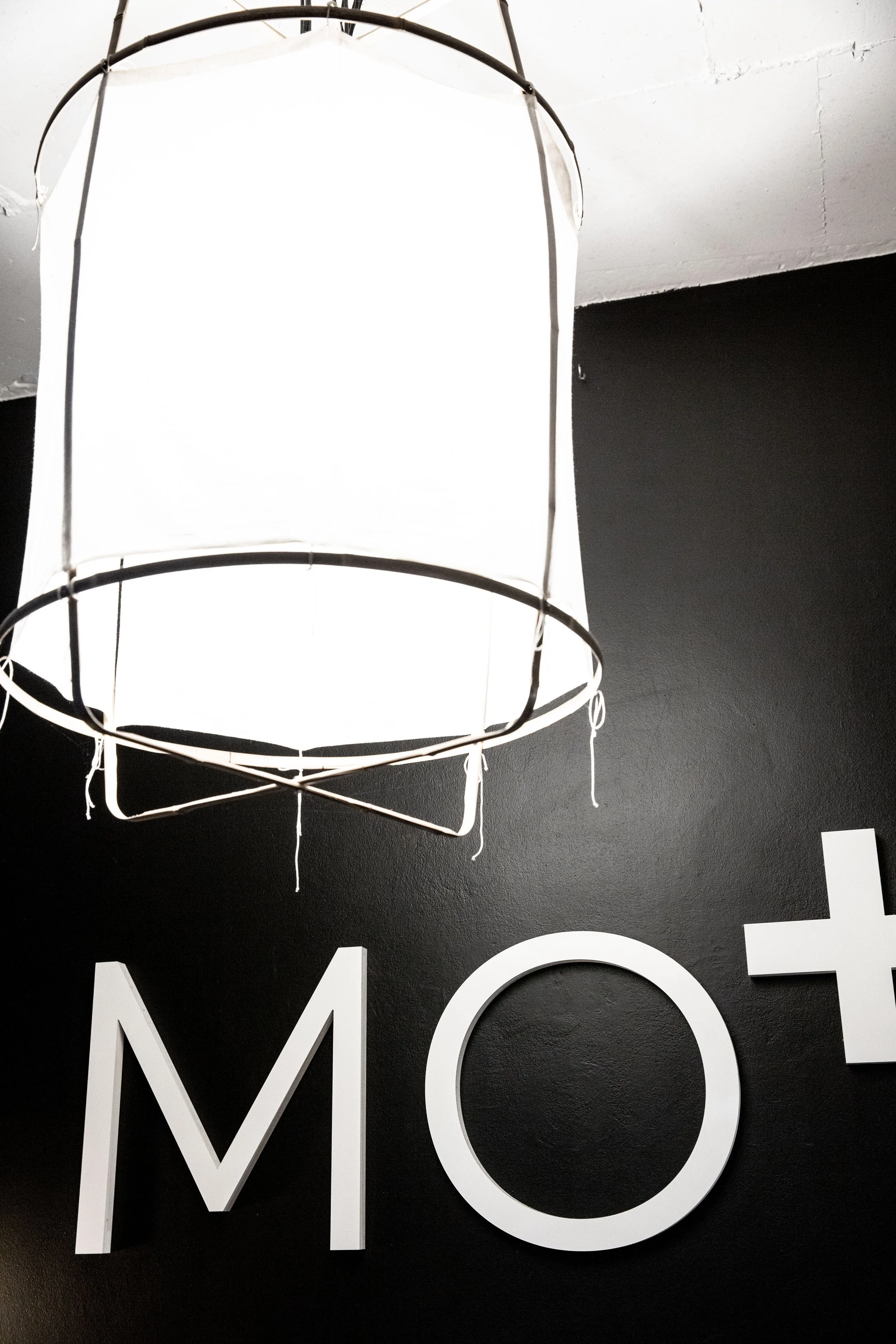 MO+ Light in Reception.jpg