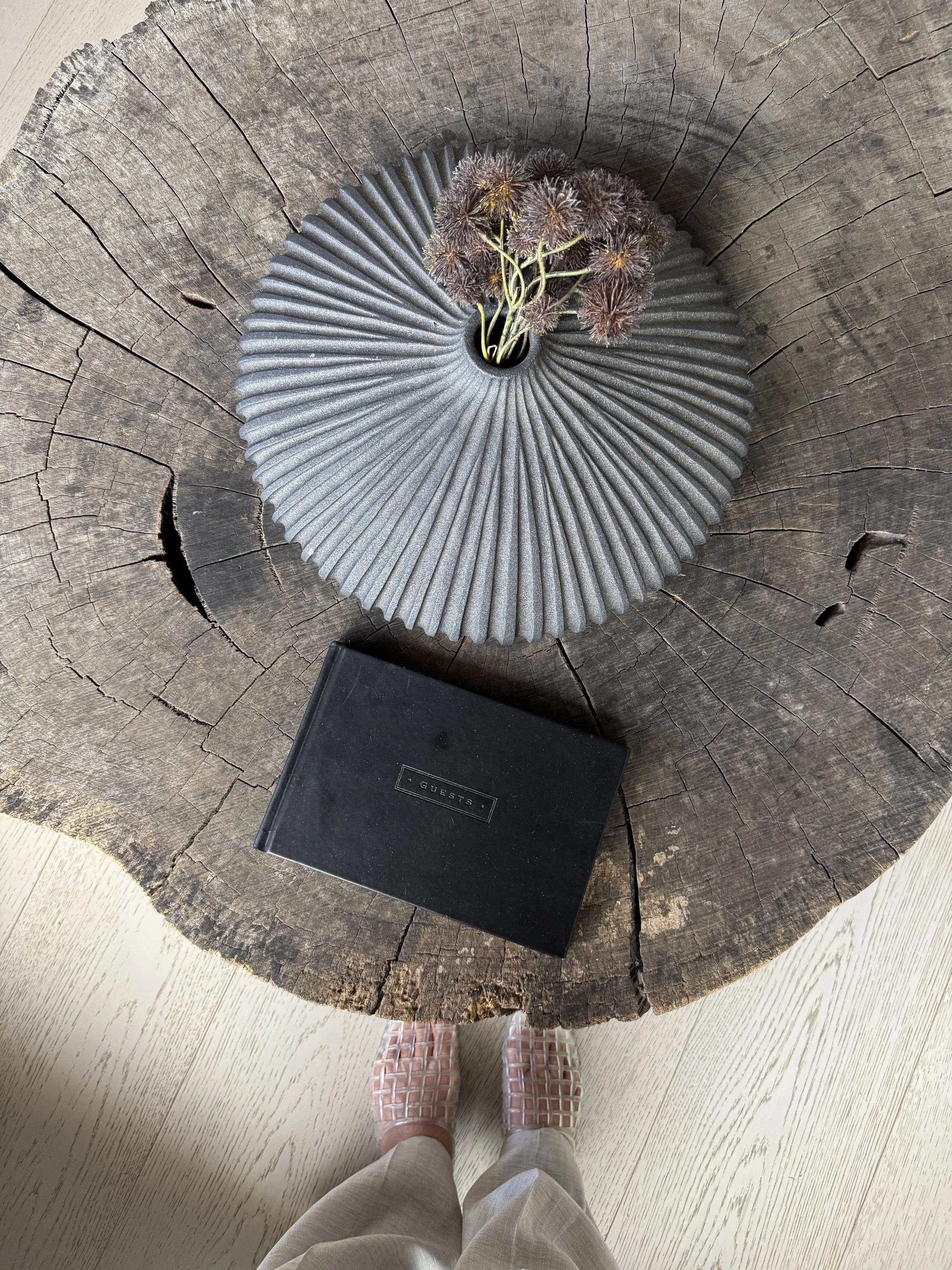 The Renewal Edit Zensi Retreat