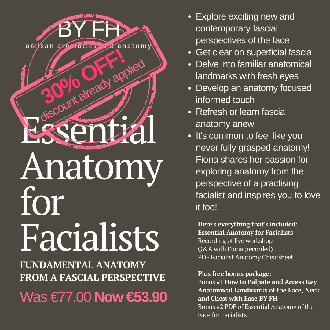 Essential Anatomy 30% OFF.png
