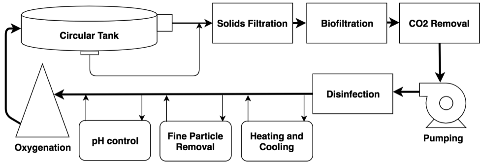 Recirculating aquaculture system (RAS) water treatment flow chart.