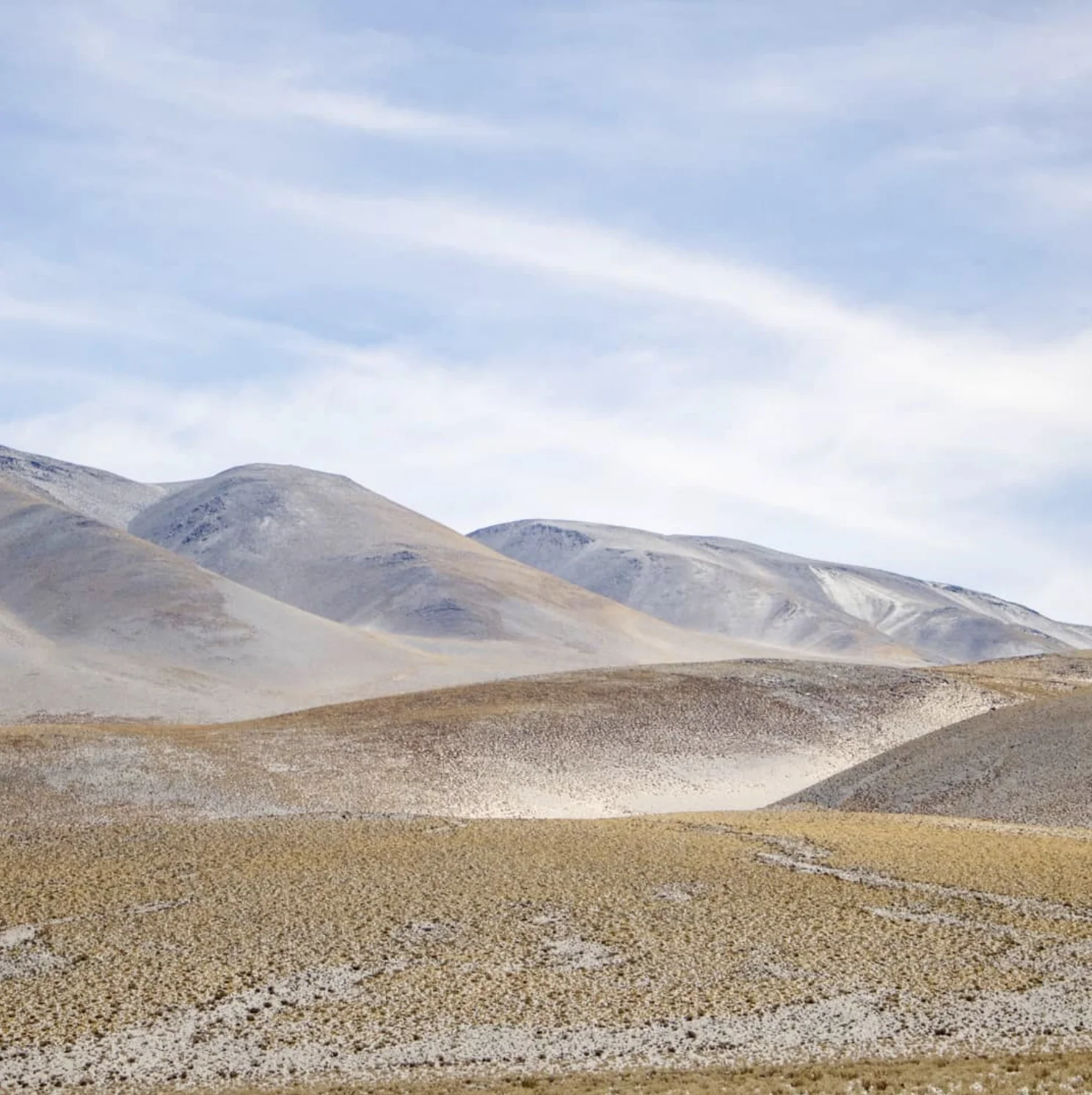 Screen Shot 2018-05-24 at 11.14.40.jpg