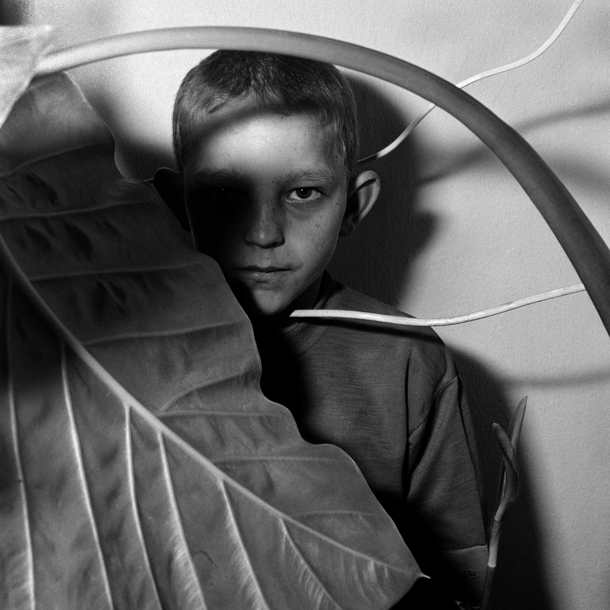 Roger Ballen_Study of Boy and Plant, 1999_camara oscura.jpg