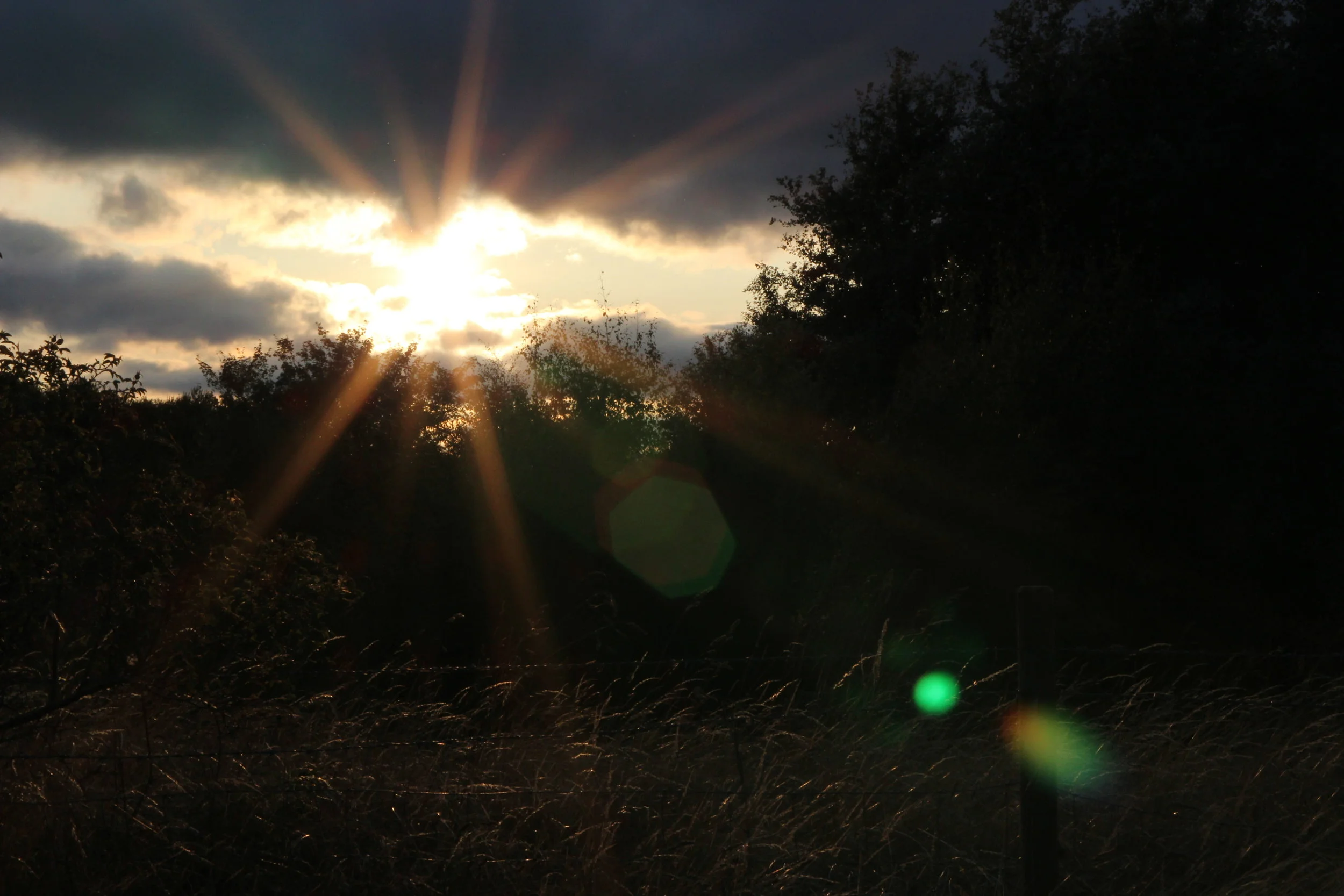 Autumnal Sunrise Yoga 