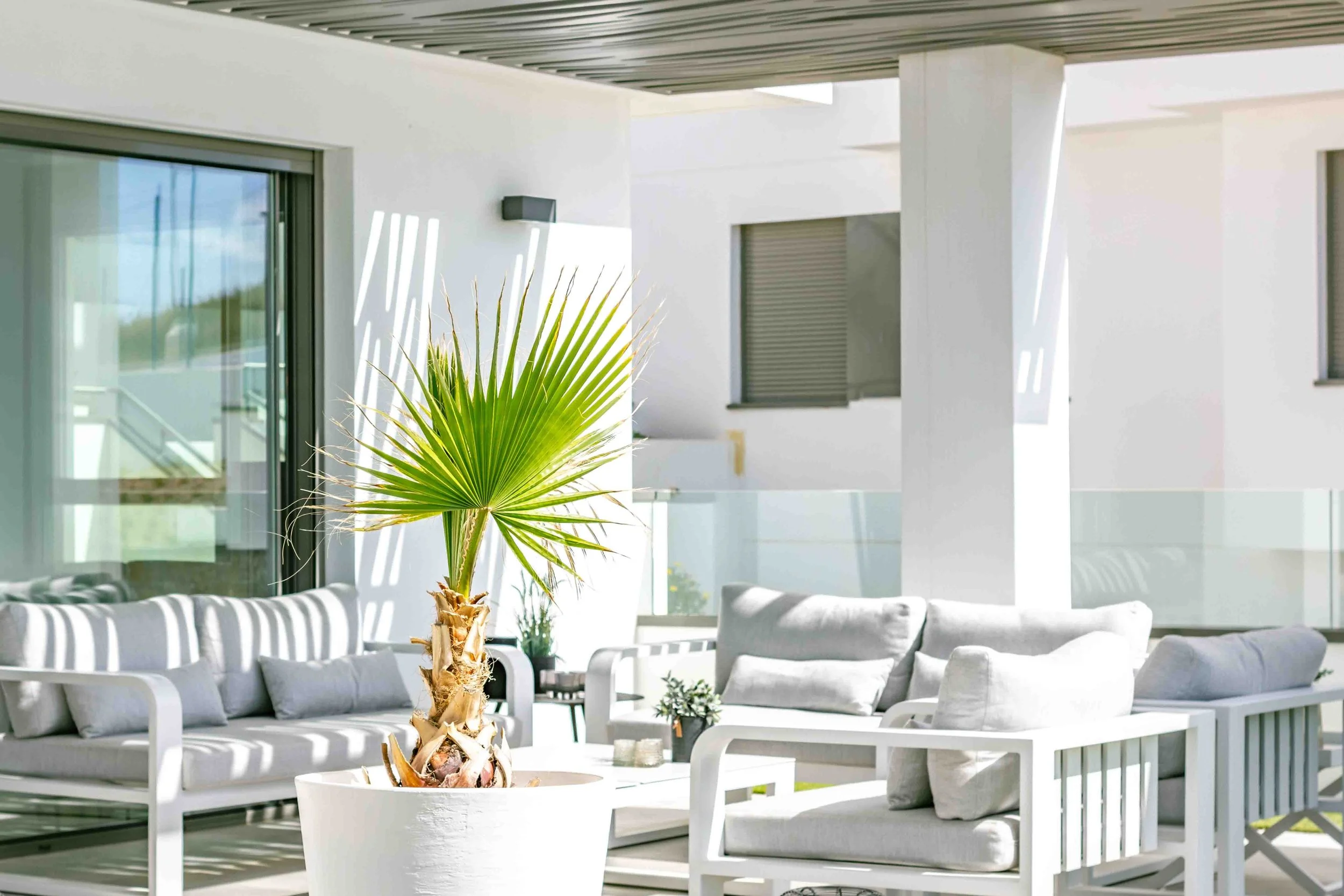 Balcón moderno con muebles blancos y una planta de palma en una maceta blanca.