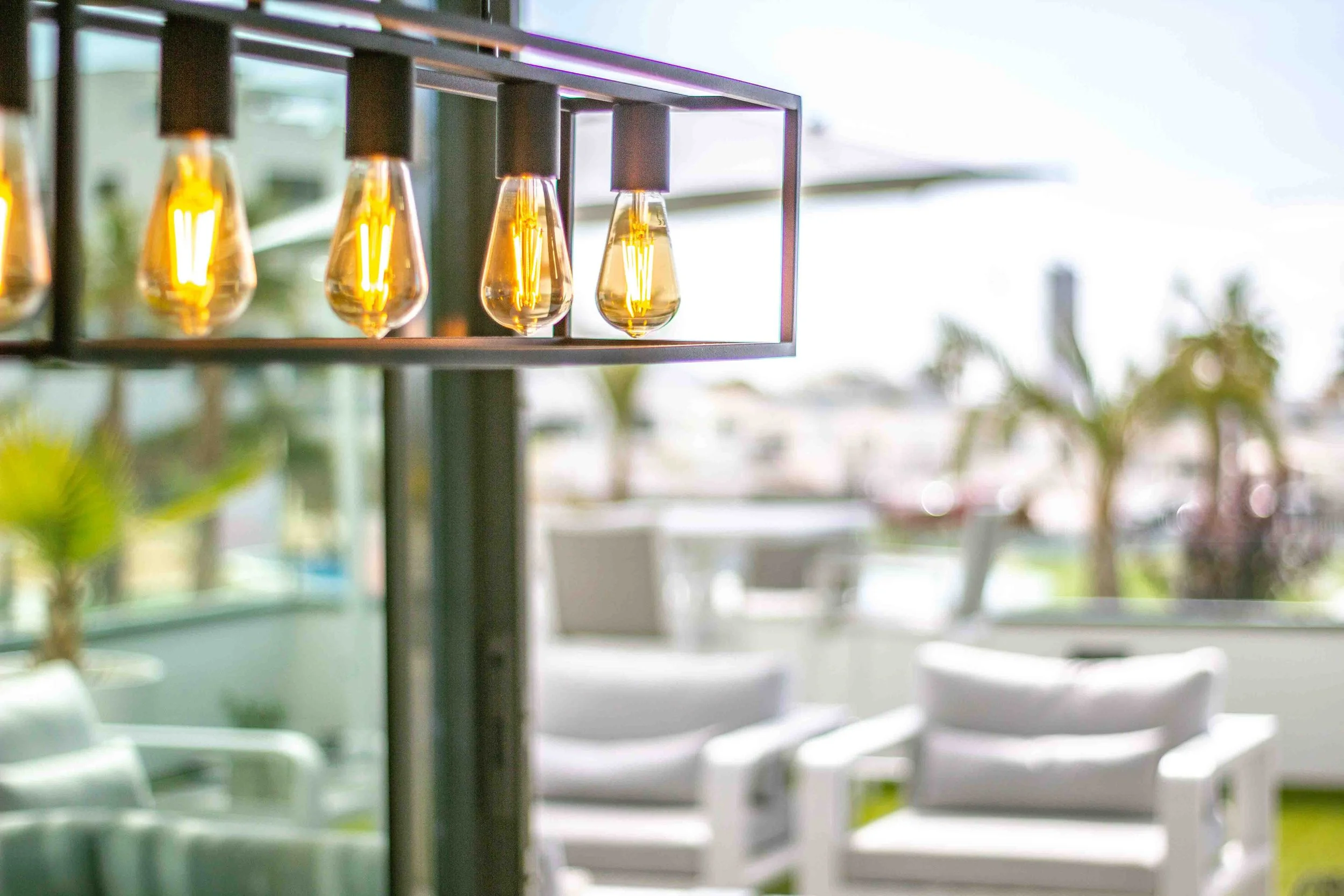 Lámpara colgante con bombillas de filamento en tono ámbar en un ambiente iluminado con fondo borroso de muebles y plantas.