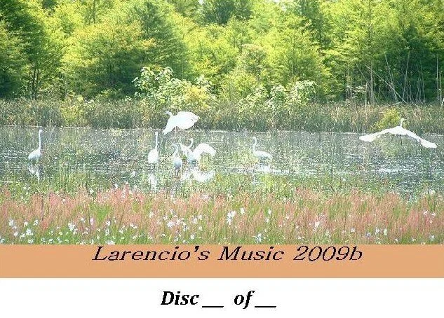 03LarenciosMusic2009B.jpg