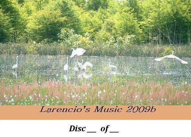 03LarenciosMusic2009B.jpg