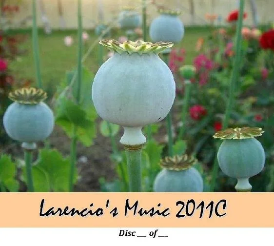 10LarenciosMusic2011C.jpg