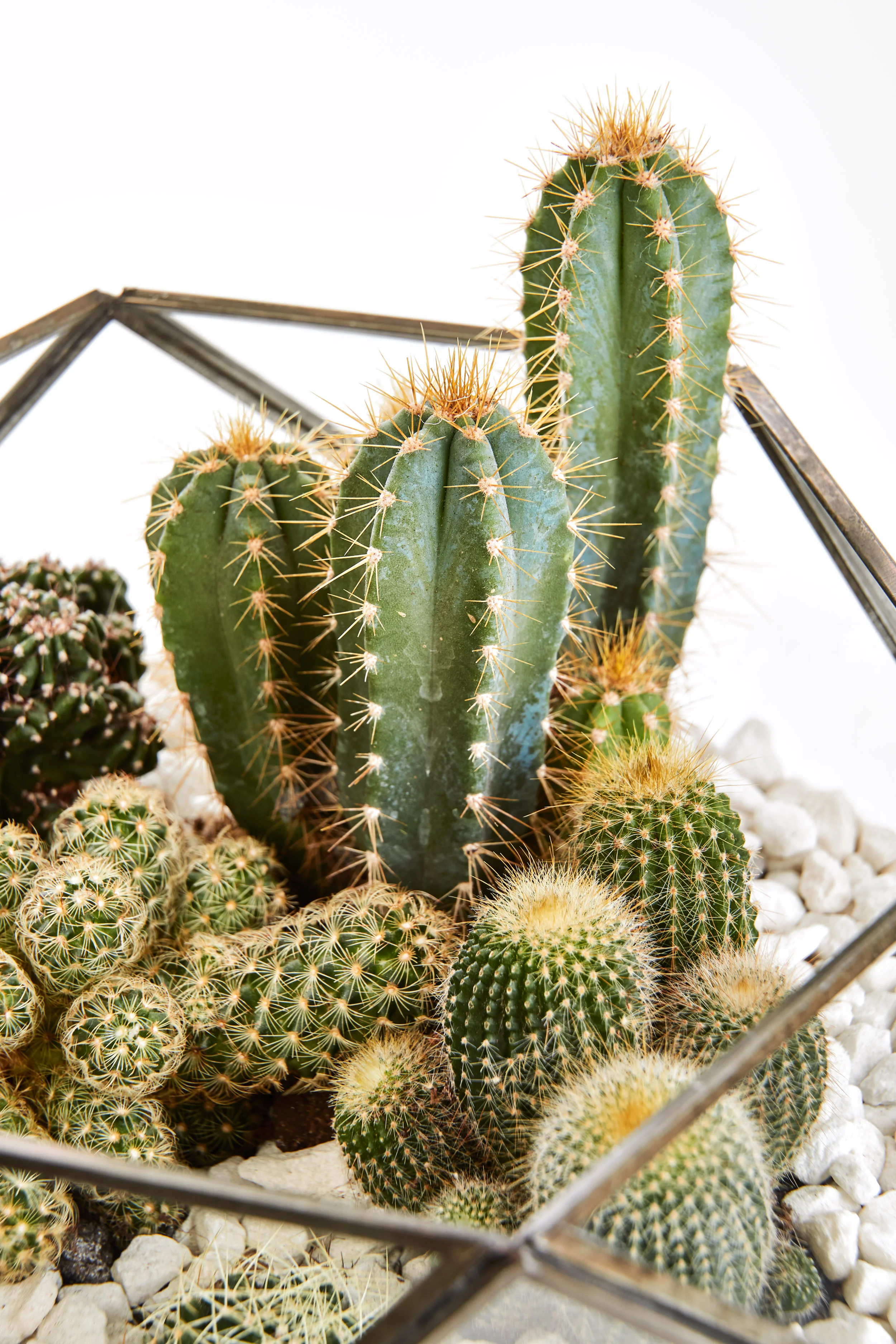 Interior Oasis - Test shoot22856.jpg