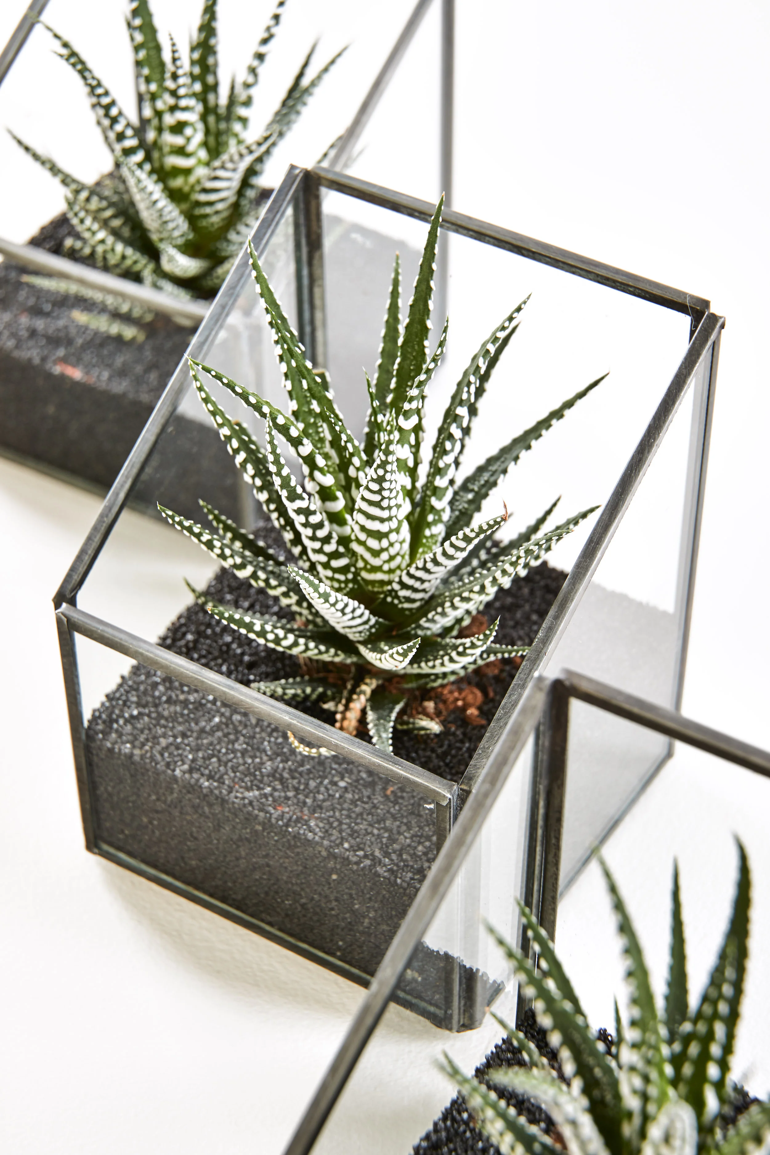 Interior Oasis - Test shoot22892.jpg
