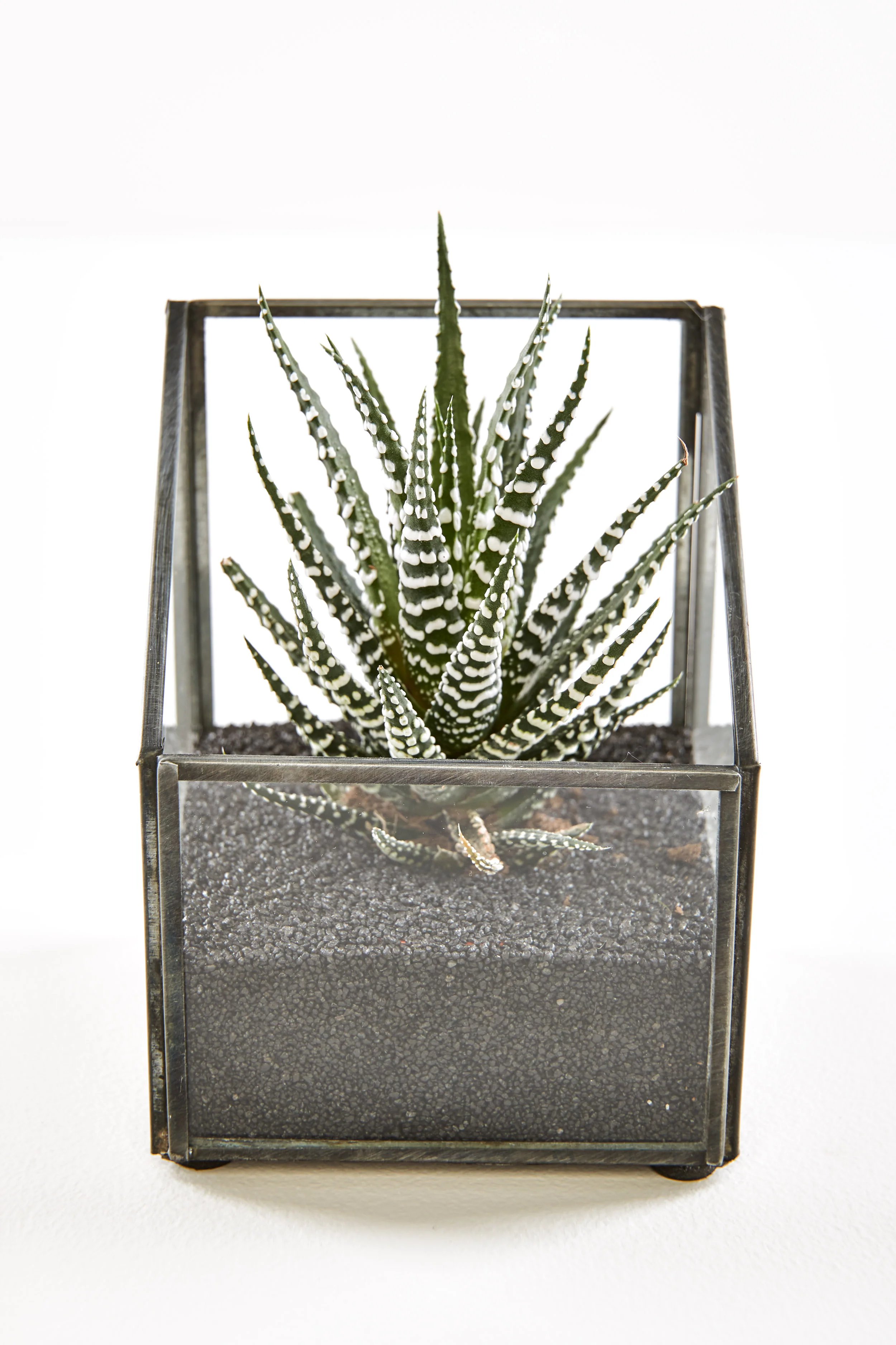 Interior Oasis - Test shoot22894.jpg