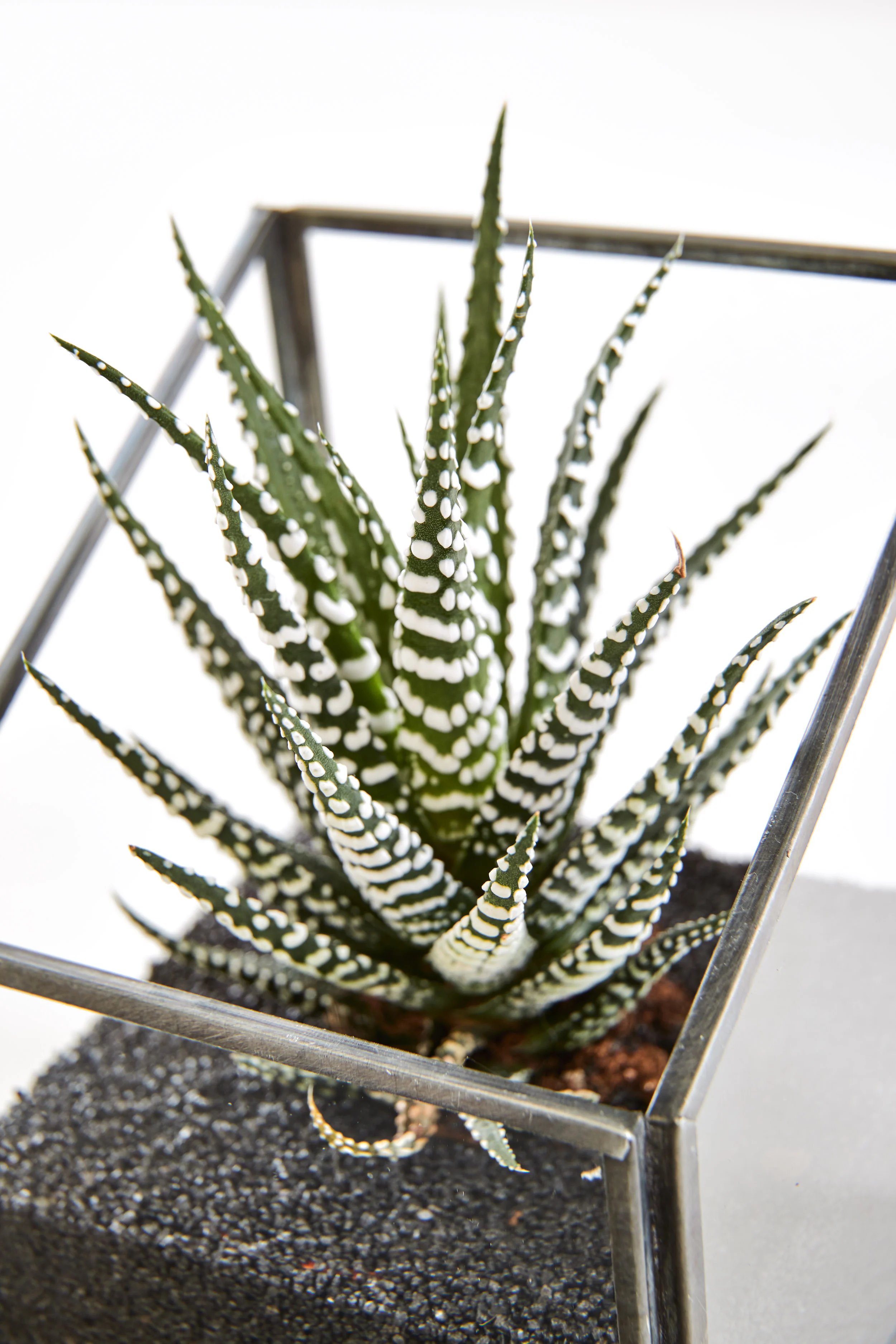 Interior Oasis - Test shoot22897.jpg