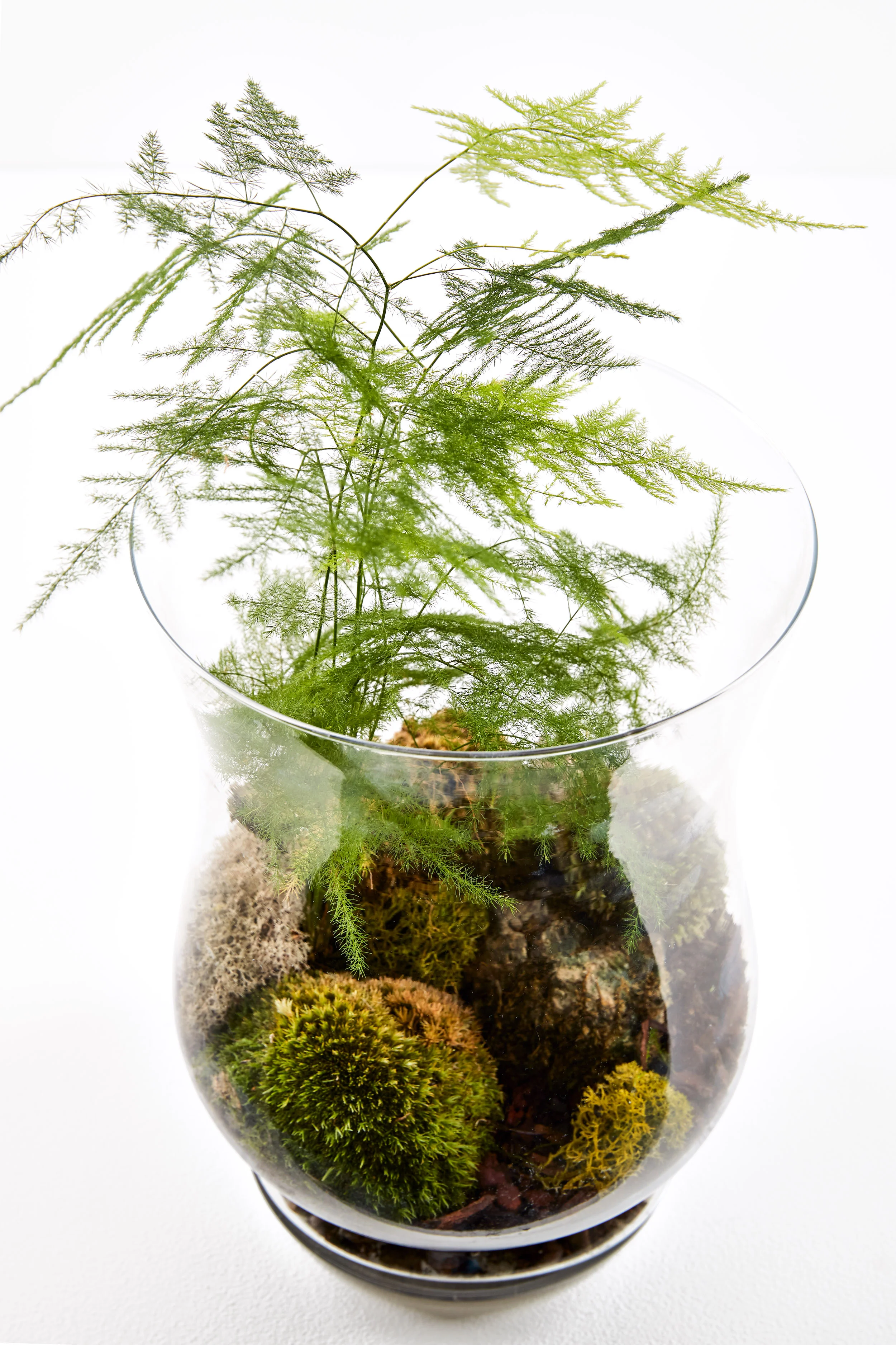 Interior Oasis - Test shoot22981.jpg