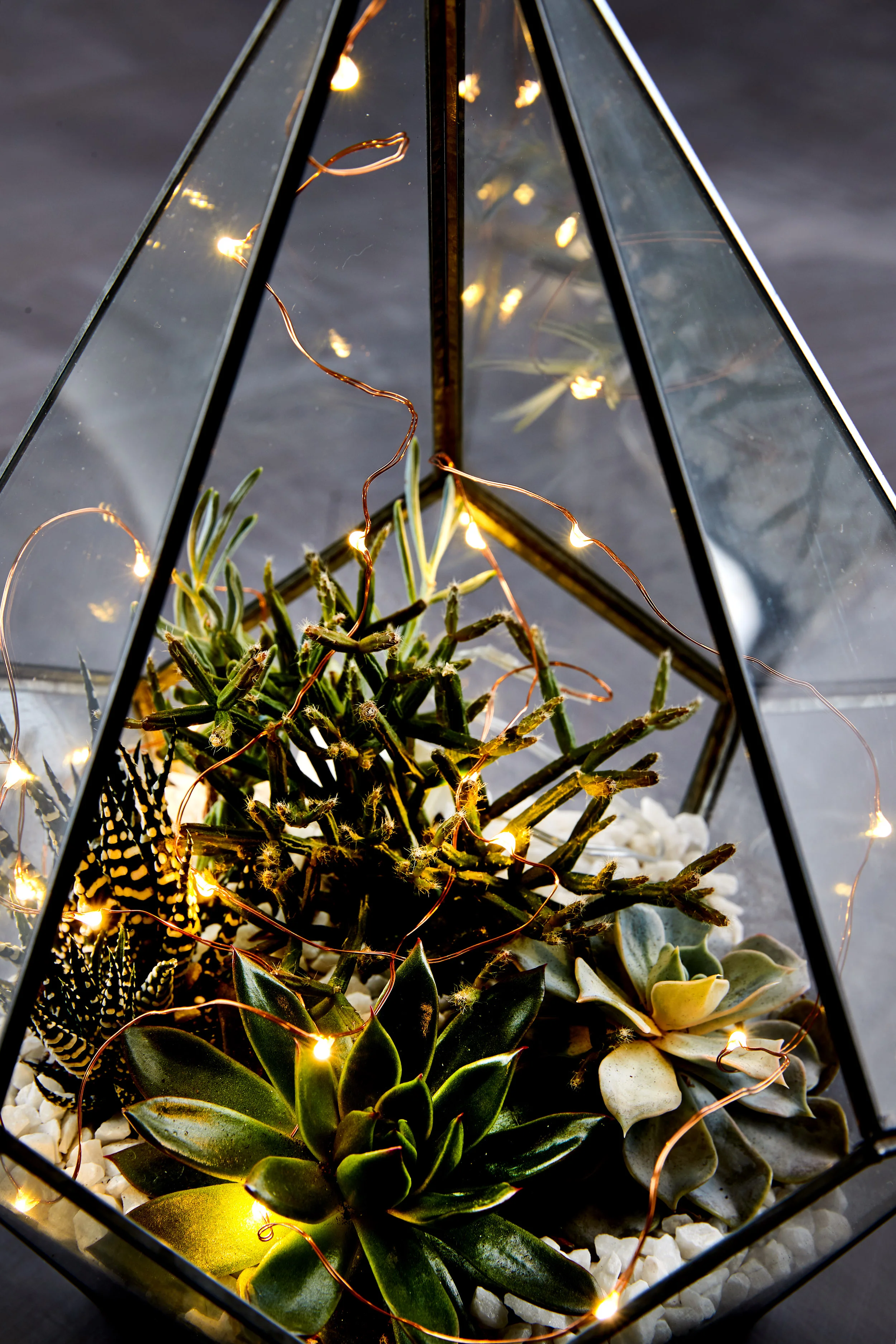 Interior Oasis - Test shoot26871.jpg
