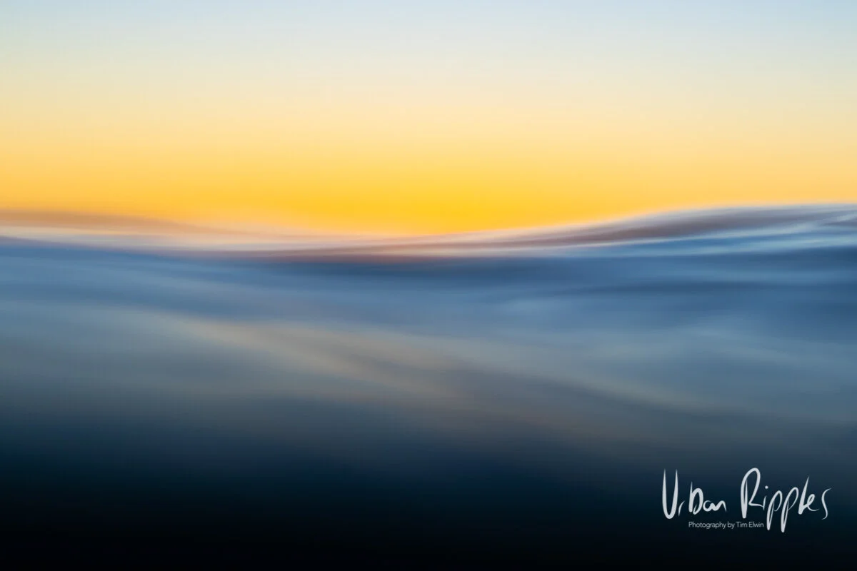 Approaching Dawn Part 1