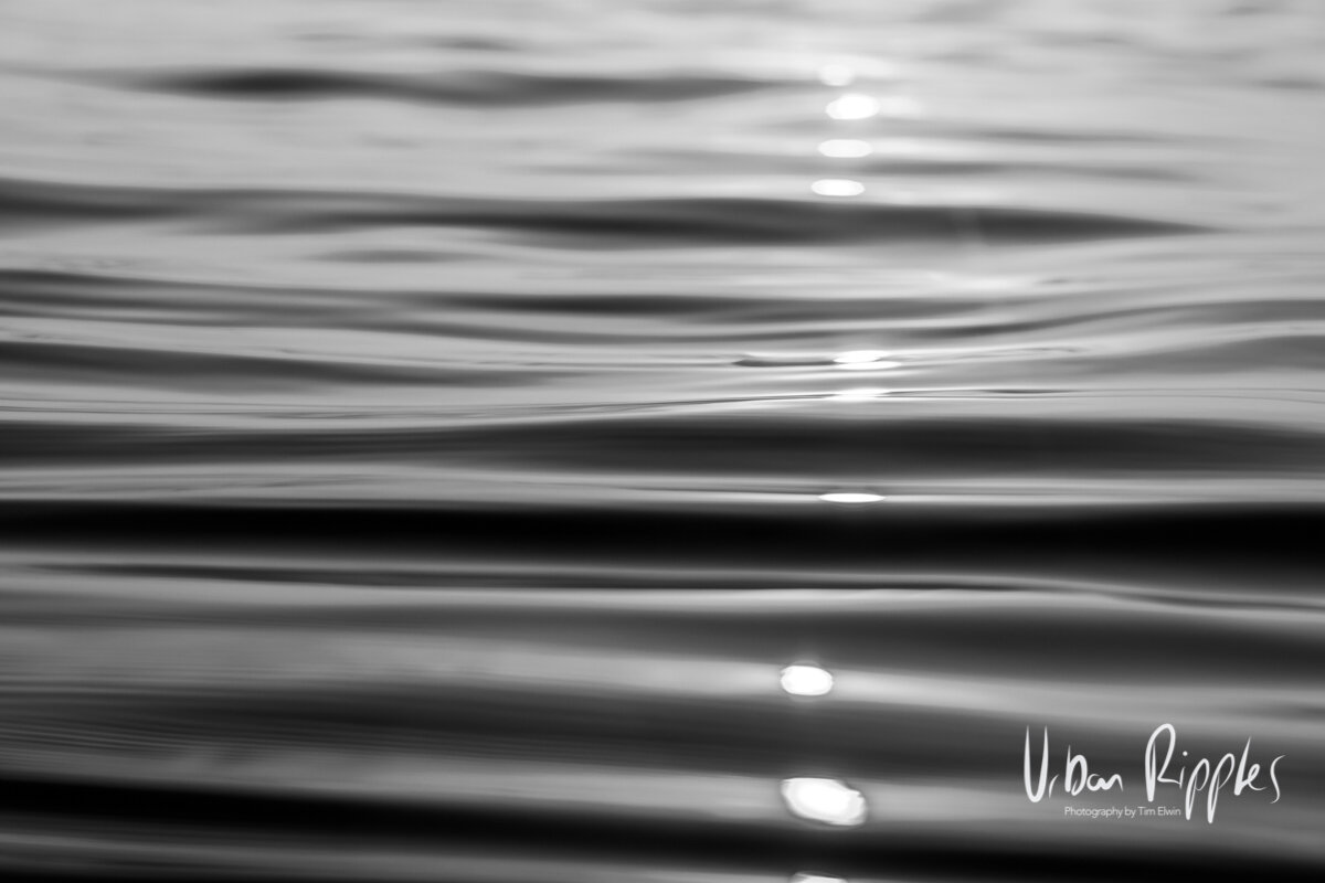 Corrugated Iron Part 1 (Copy)
