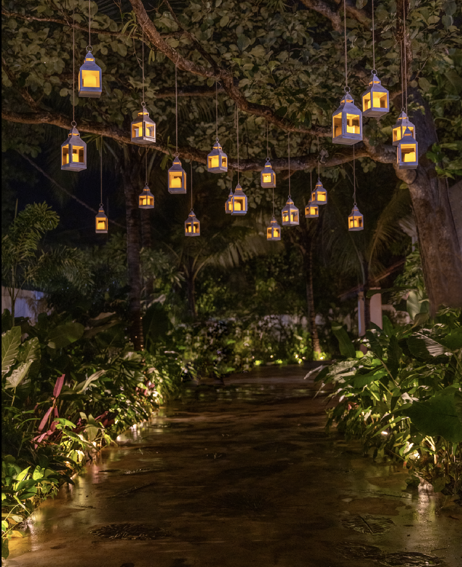 Screenshot 2024-10-16 at 6.56.49 PM.png