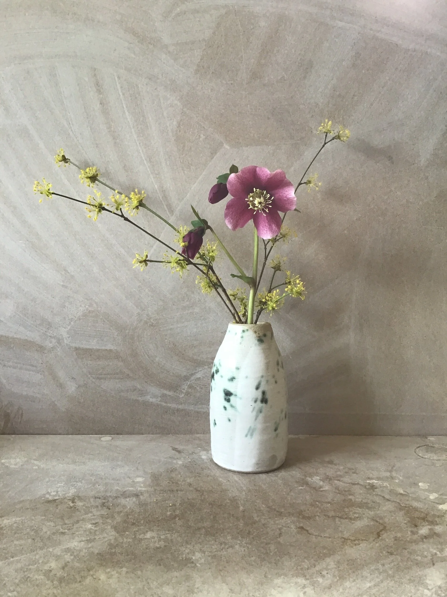 ED8BD6C8-04C3-486D-8B2B-5C99B3102202