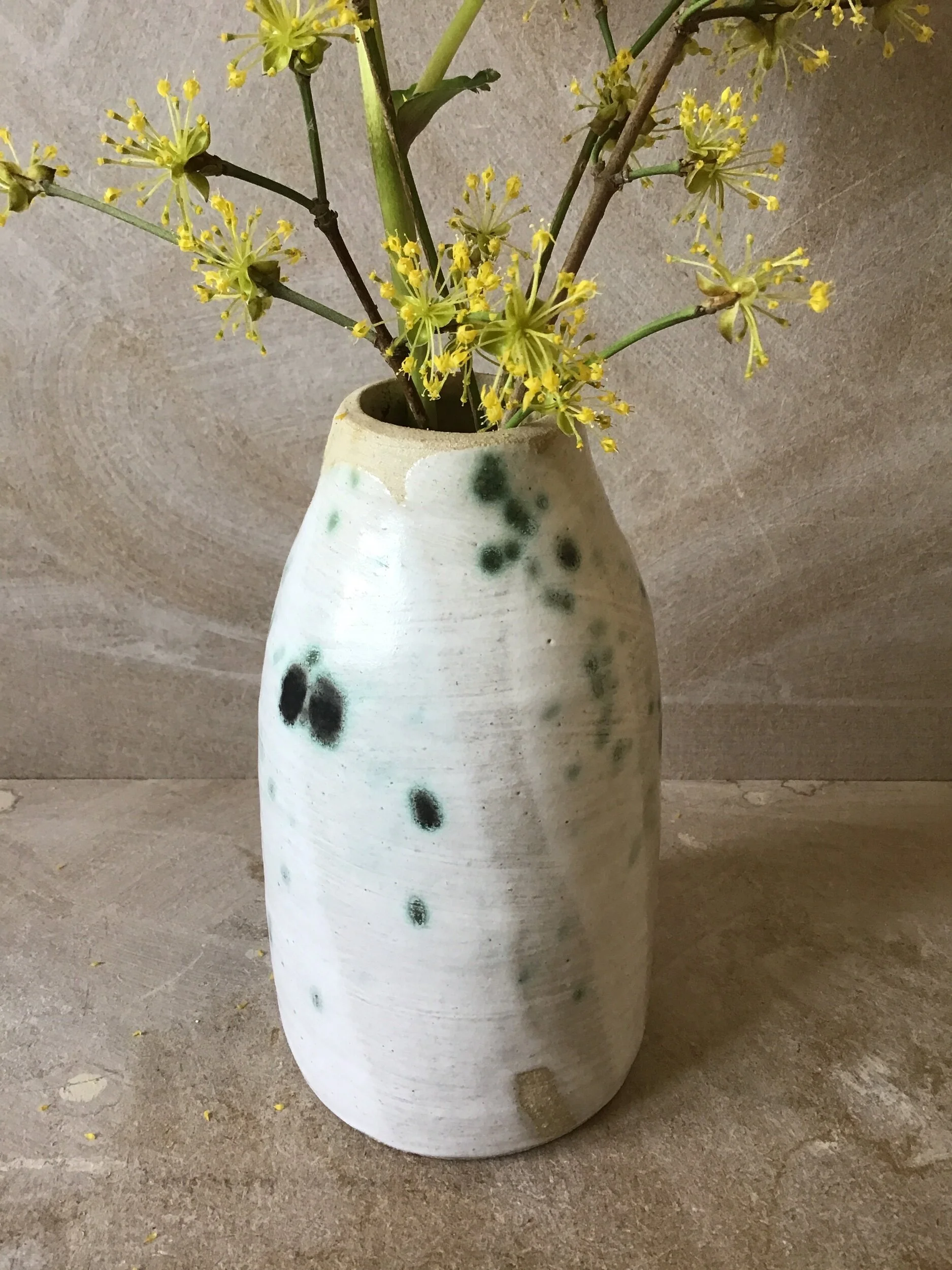 2DF6294C-88FF-4622-AA1F-8AABE190C800