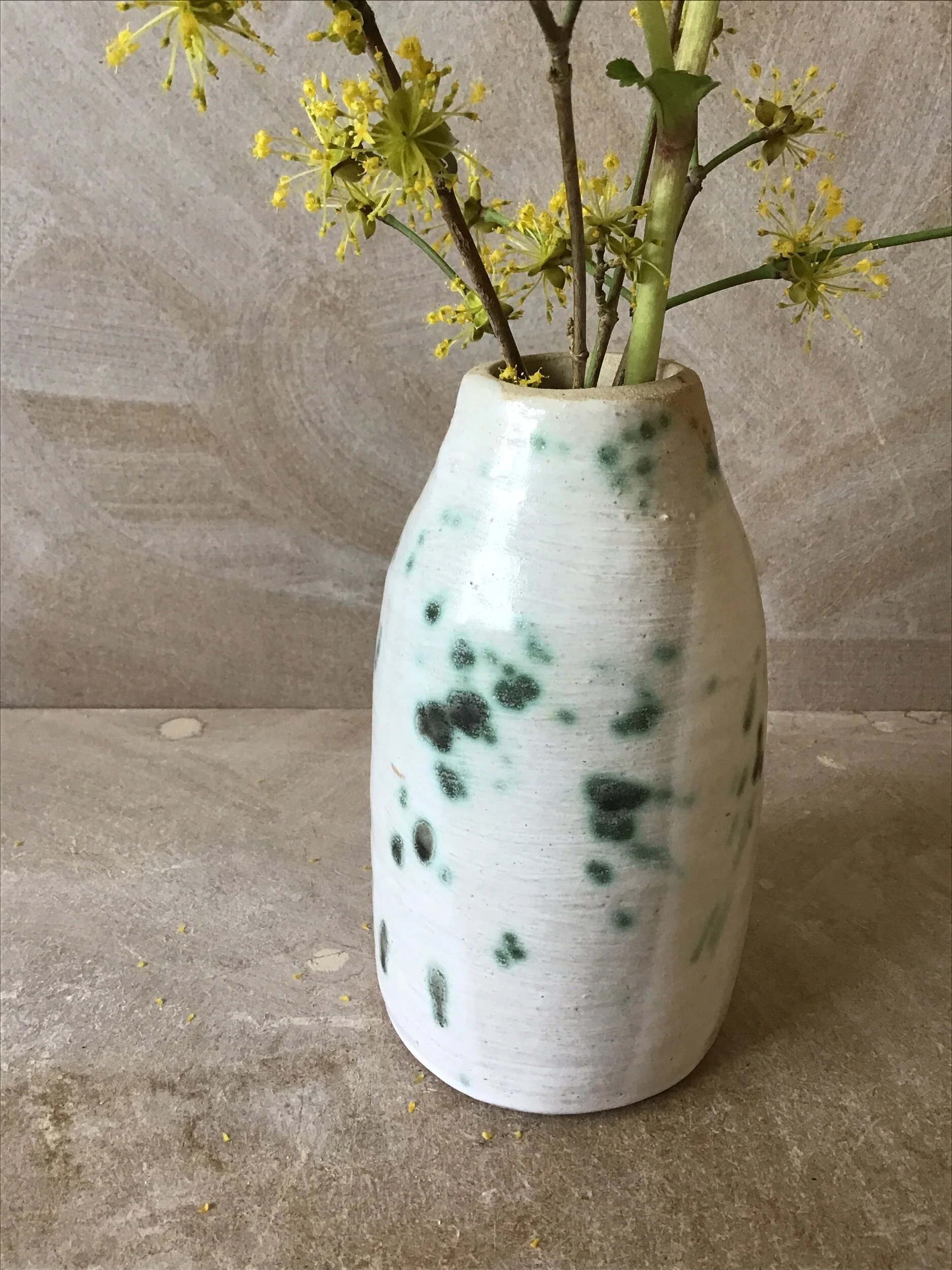 3F2442A1-59C4-4959-AADF-FB50EF864831