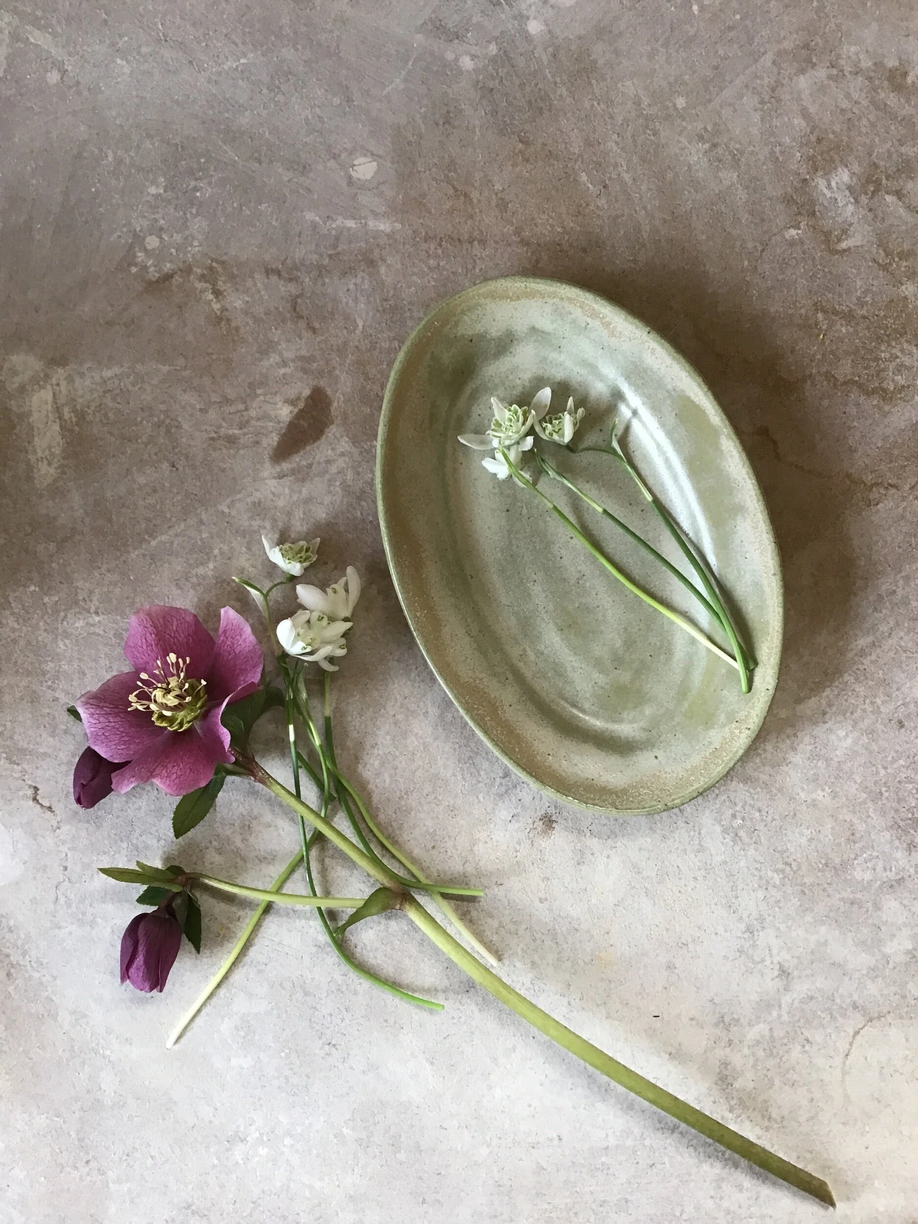 1E30A93B-5470-4B73-B081-A526C9021587