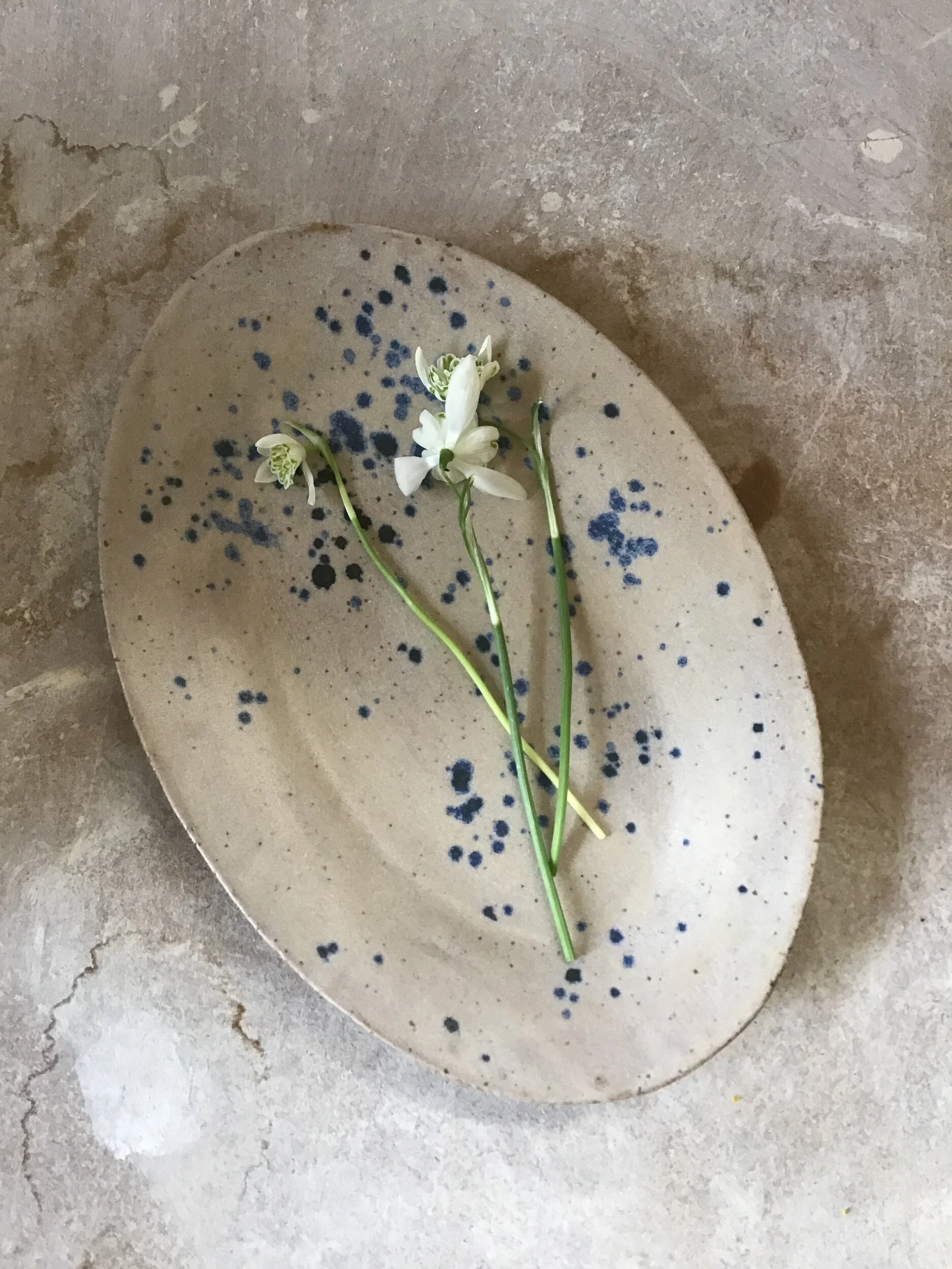 1972C9AA-6C87-442D-BB71-F15C0A3BC1BE