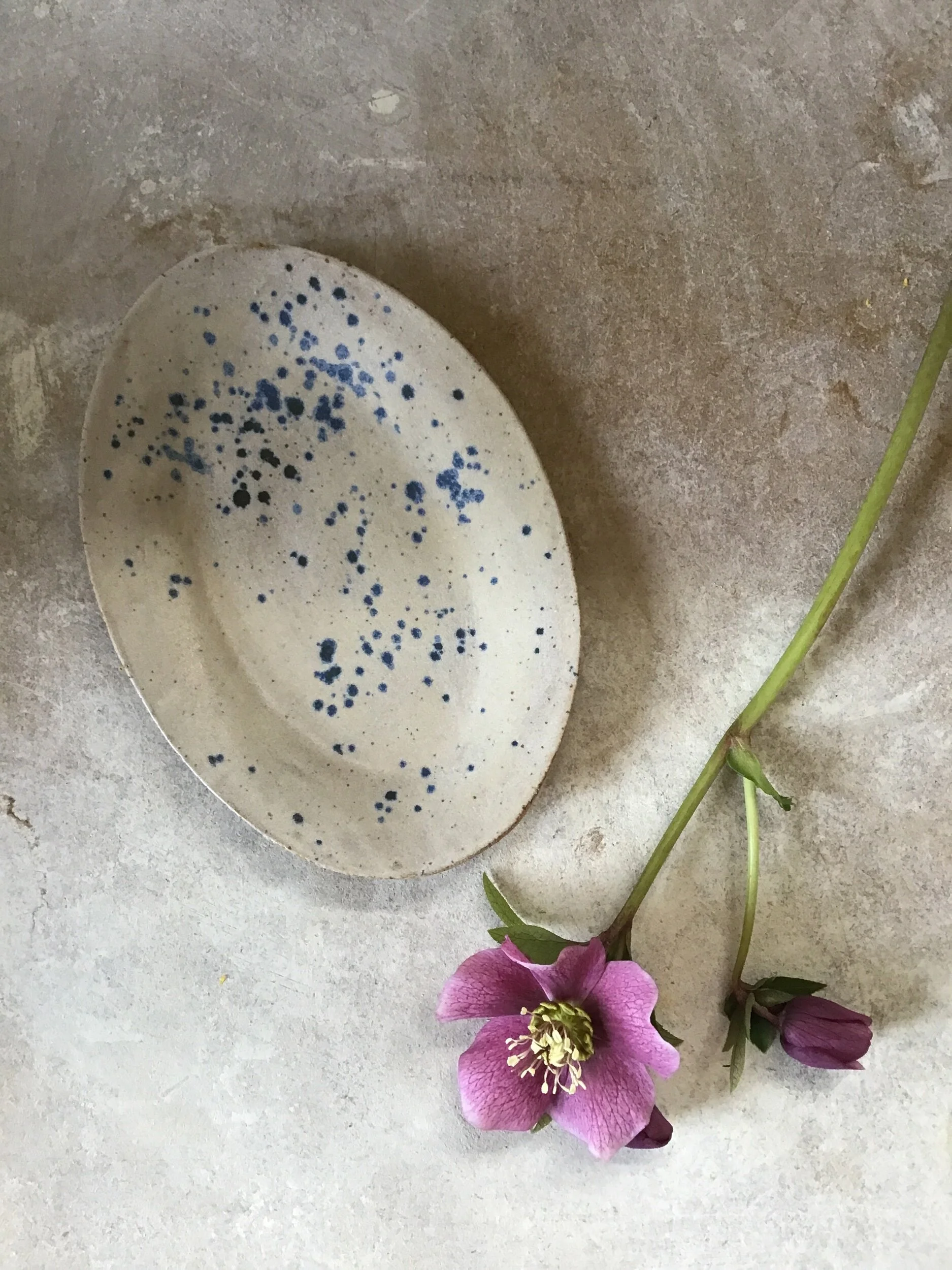 81E768AD-2D44-49A6-BEF6-813D9B6D1715