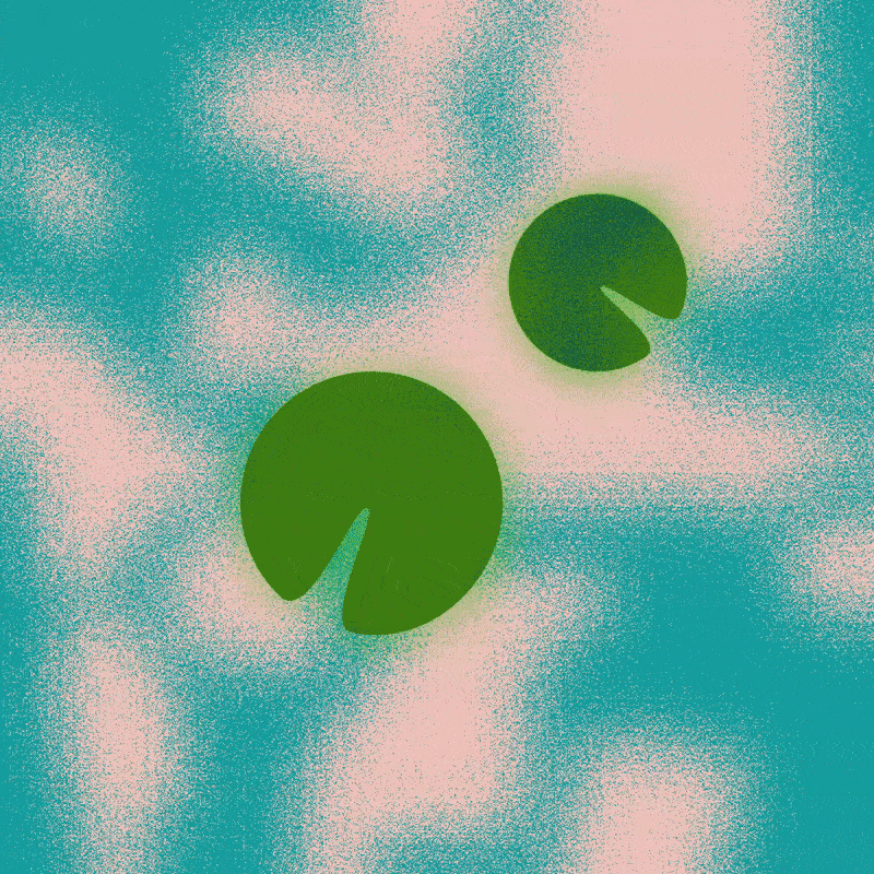 ezgif.com-optimize (1).gif