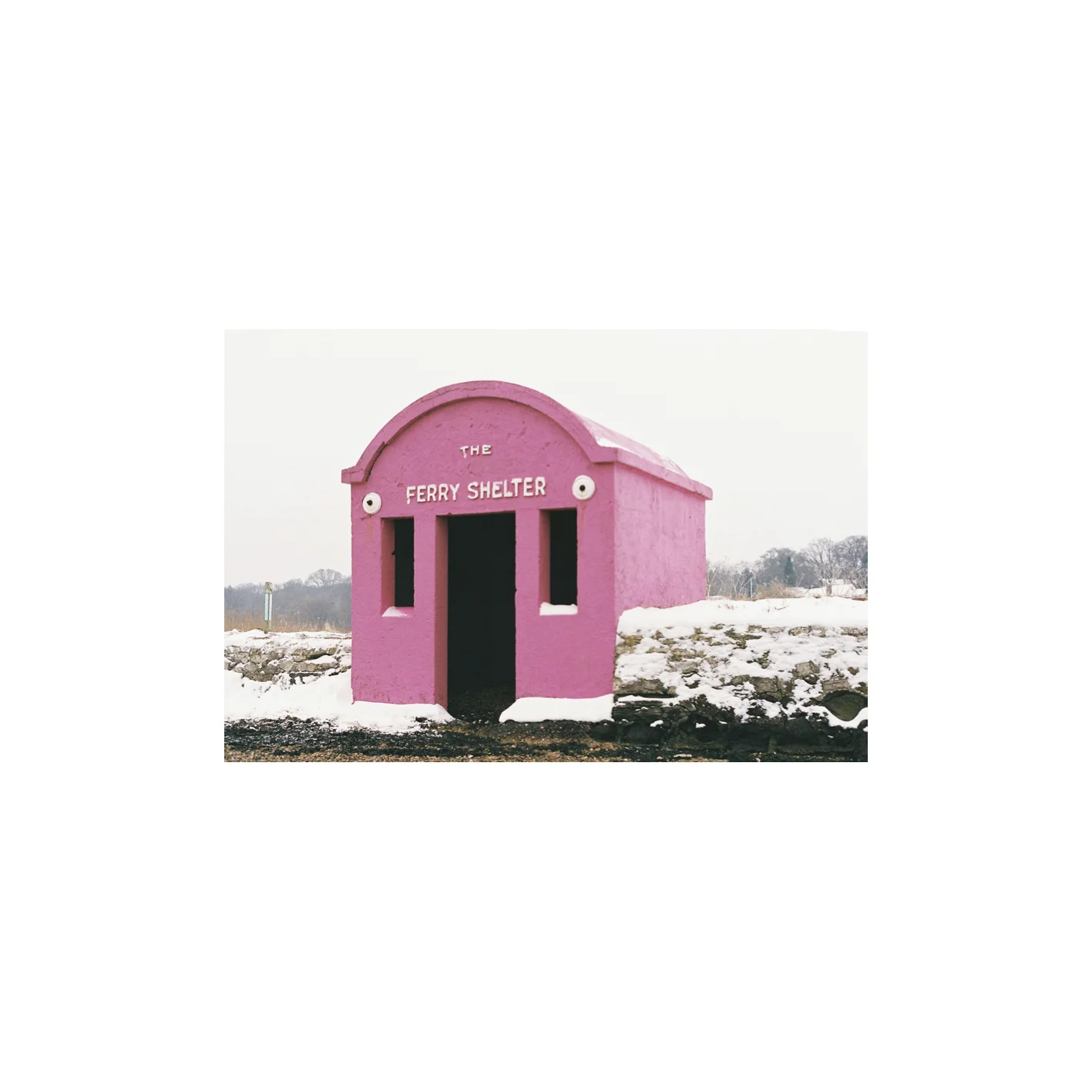 PINKFERRY10.jpg