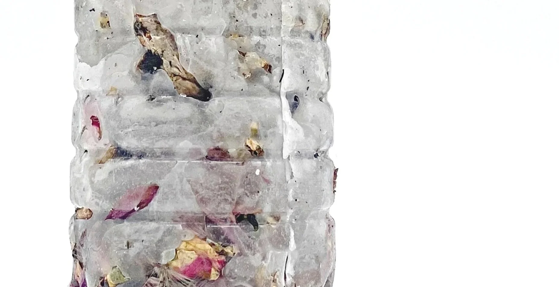 CROP+8+copy.jpg