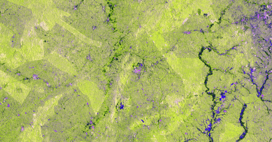 Input Sentinel-1 radar imagery and recent vegetation change map. Black circles indicate 8 prioritised change alert areas with active deforestation in parks and reserves (vegetation clearing in 2018: shown in red). Here, ground visits should take place to verify whether the clearing is related to newly planted cocoa or not.