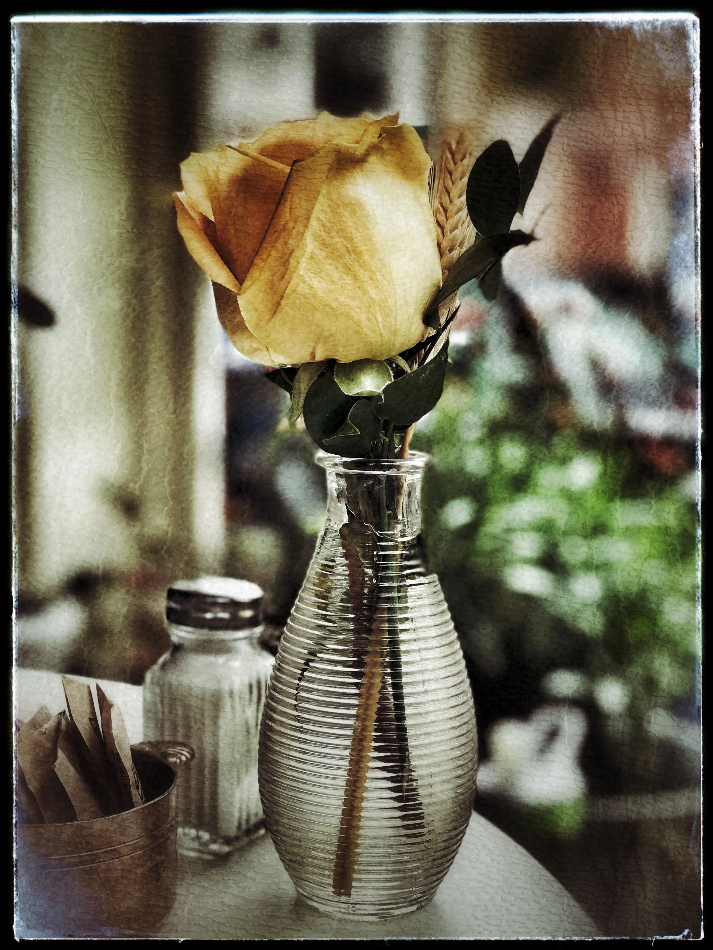 49B21289-0D14-49E9-9CF9-3558803222AD.jpeg