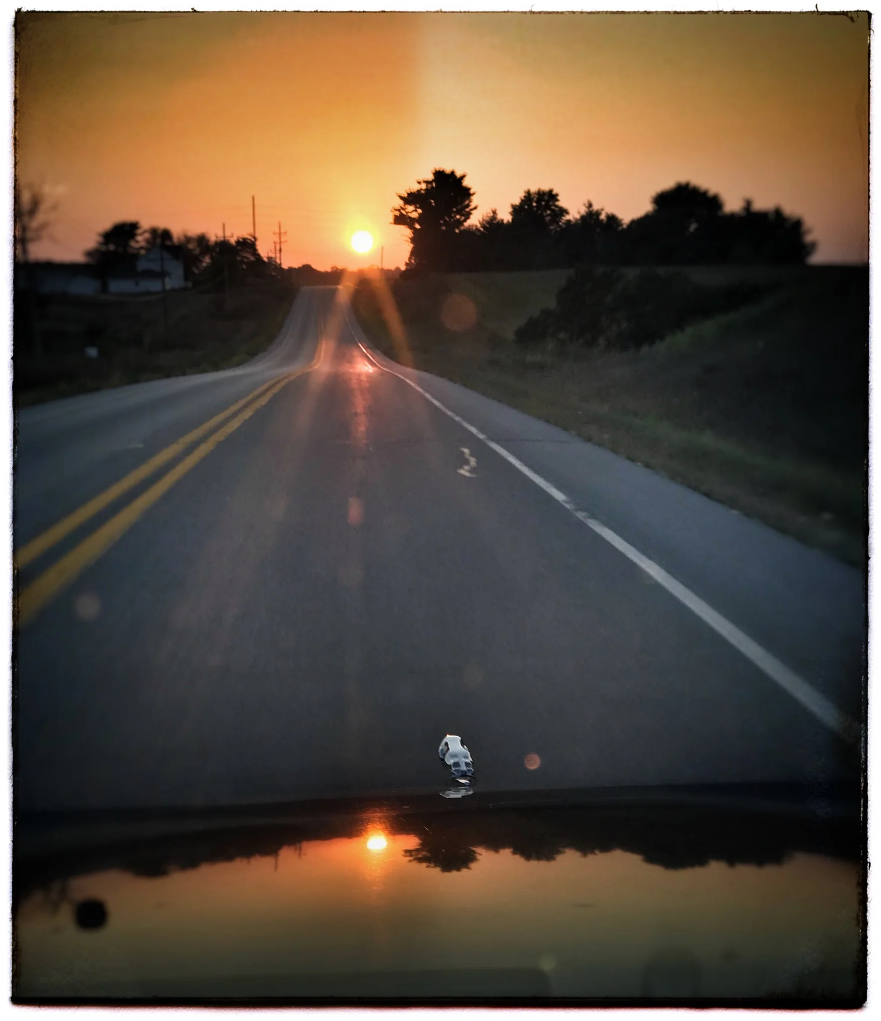 B4D93110-0ED4-4CC0-95D4-FE1B6574A4F7.jpeg