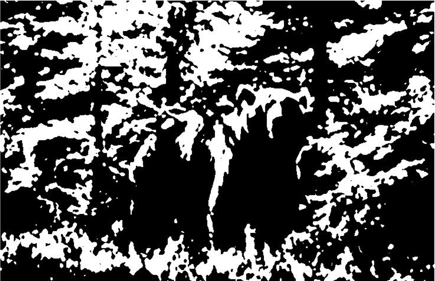 Can you find the bear’s nose in this Mooney picture?
