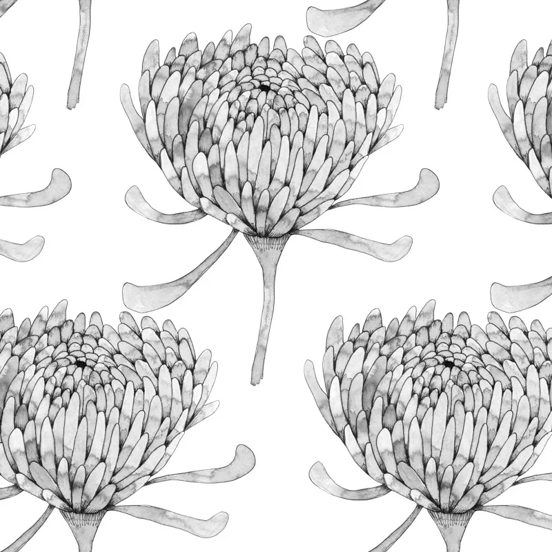 Ink Chrysanthemum by Floating Lemons Art