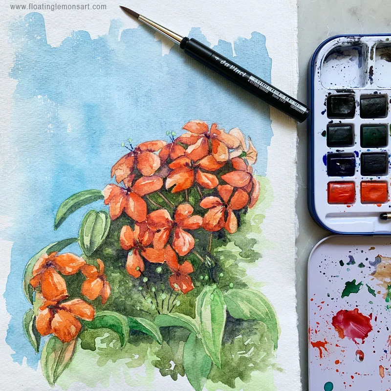 Bauhinia kockiana by Mariana: Floating Lemons Art